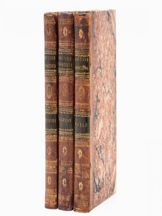 Collection of 390 Antiquarian Books from the 18th – 20th Century focused on English Literature, History and Travel